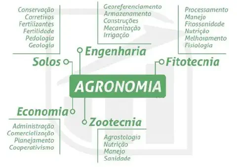 infográfico em formato de mapa mental que detalha as diversas áreas do conhecimento que compõem a Agron