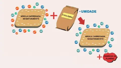 infográfico que ilustra o processo químico da calagem, uma prática fundamental para a correção da acidez do sol