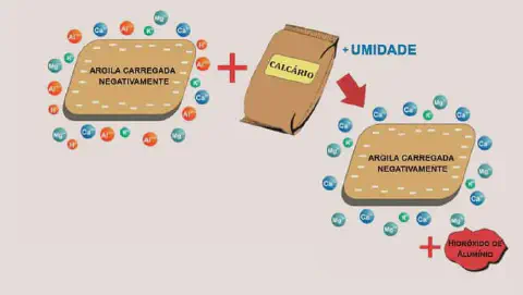 infográfico que ilustra o processo químico da calagem, uma prática fundamental para a correção da acidez do sol
