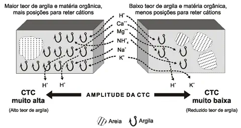 infográfico técnico que compara dois tipos de solo para explicar o conceito de Capacidade de Troca de Cátions (