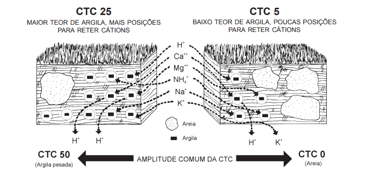 diagrama técnico em preto e branco que ilustra o conceito de Capacidade de Troca de Cátions (CTC) no solo. Ela