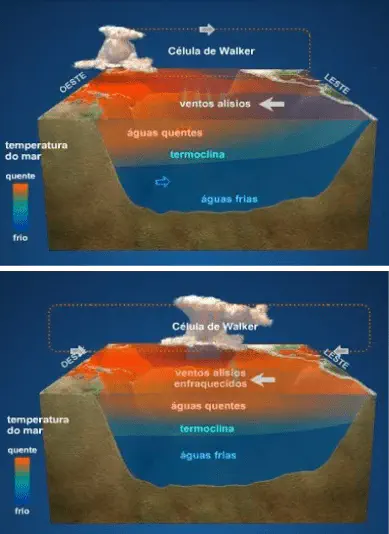 O que é El Niño e como afeta a agricultura infográfico comparativo que ilustra as diferenças entre as condições normais/La Niña e as condições de El Niño