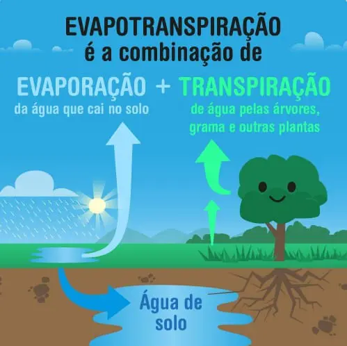 O que é Evapotranspiração e sua importância na agricultura infográfico educacional que explica de forma visual e simplificada o conceito de evapotranspiração. Ela demonst