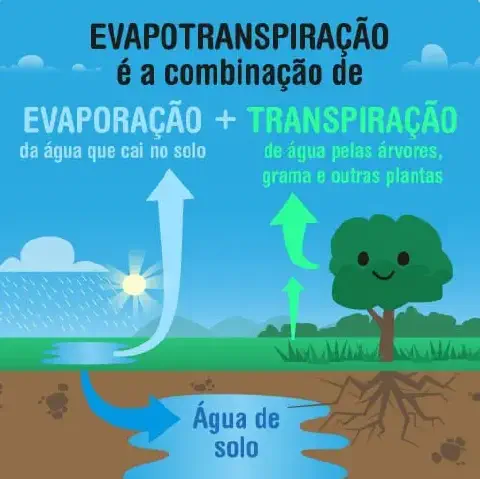 infográfico educacional que explica de forma visual e simplificada o conceito de evapotranspiração. Ela demonst