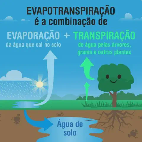 infográfico educacional que explica de forma visual e simplificada o conceito de evapotranspiração. Ela demonst