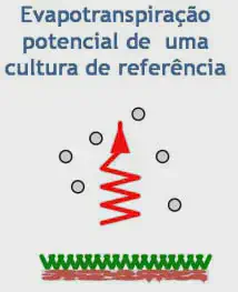 diagrama científico simplificado que ilustra o conceito de 'Evapotranspiração potencial de uma cultura de refer