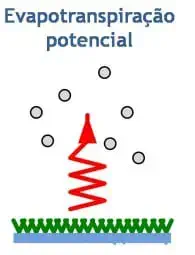 diagrama esquemático que ilustra o conceito de evapotranspiração potencial. Na base, uma superfície ver