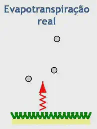 diagrama esquemático que ilustra o conceito de 'Evapotranspiração real'. Ela exibe uma superfície verde, repres