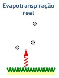 diagrama esquemático que ilustra o conceito de 'Evapotranspiração real'. Ela exibe uma superfície verde, repres