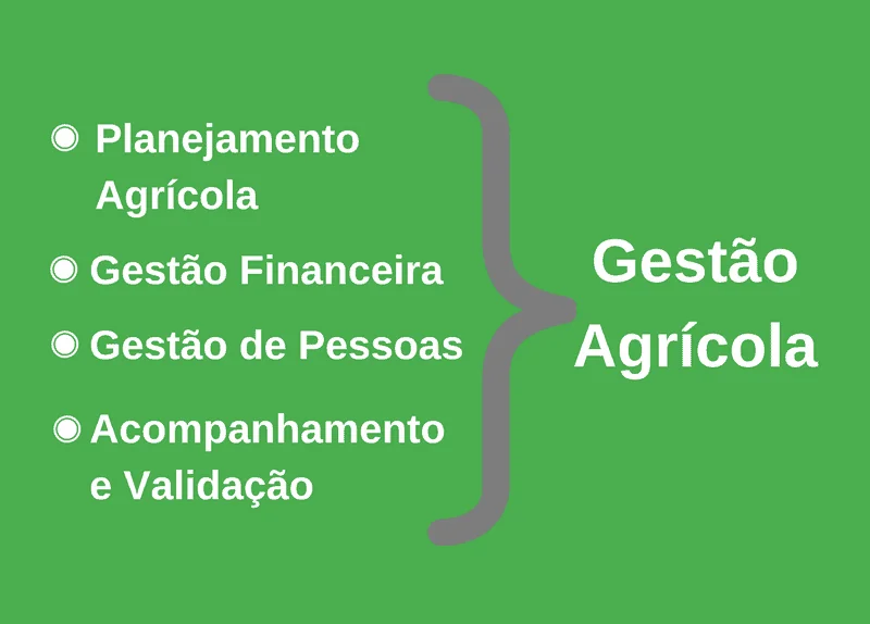 O que é Gestão Agrícola: Os 4 Pilares Essenciais infográfico conceitual que ilustra os pilares fundamentais da Gestão Agrícola. Com um fundo verde sólido, assoc