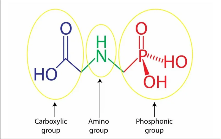 O que é Glifosato: Entenda sua Estrutura Química diagrama da estrutura química da molécula de glifosato, um dos herbicidas mais utilizados na agricultura mu