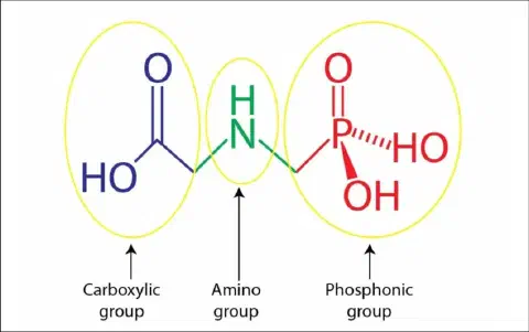 diagrama da estrutura química da molécula de glifosato, um dos herbicidas mais utilizados na agricultura mu