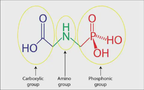 diagrama da estrutura química da molécula de glifosato, um dos herbicidas mais utilizados na agricultura mu
