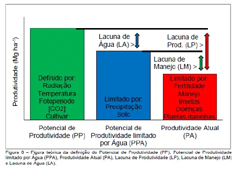gráfico de barras teórico que ilustra os diferentes níveis de produtividade agrícola e os fatores que o