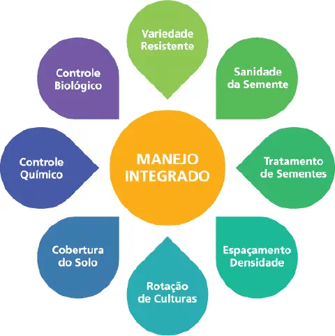 infográfico que ilustra o conceito de 'Manejo Integrado' na agricultura. No centro, um círculo laranja destaca