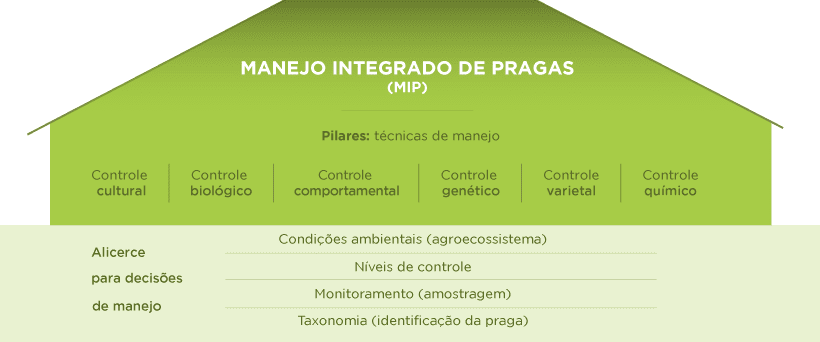 infográfico didático que explica o conceito de Manejo Integrado de Pragas (MIP) utilizando a analogia de uma ca