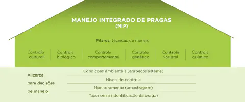 infográfico didático que explica o conceito de Manejo Integrado de Pragas (MIP) utilizando a analogia de uma ca