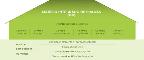 infográfico didático que explica o conceito de Manejo Integrado de Pragas (MIP) utilizando a analogia de uma ca