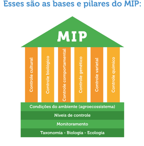 O que é MIP: As Bases e Pilares do Manejo de Pragas Este é um infográfico educacional que ilustra os componentes fundamentais do Manejo Integrado de Pragas (MIP). A imagem utili
