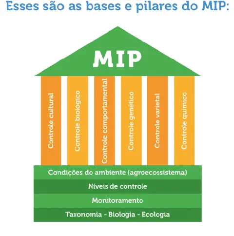 Este é um infográfico educacional que ilustra os componentes fundamentais do Manejo Integrado de Pragas (MIP). A imagem utili