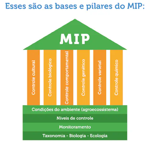 Este infográfico ilustra os conceitos fundamentais do Manejo Integrado de Pragas (MIP) utilizando a metáfora de um templo. O