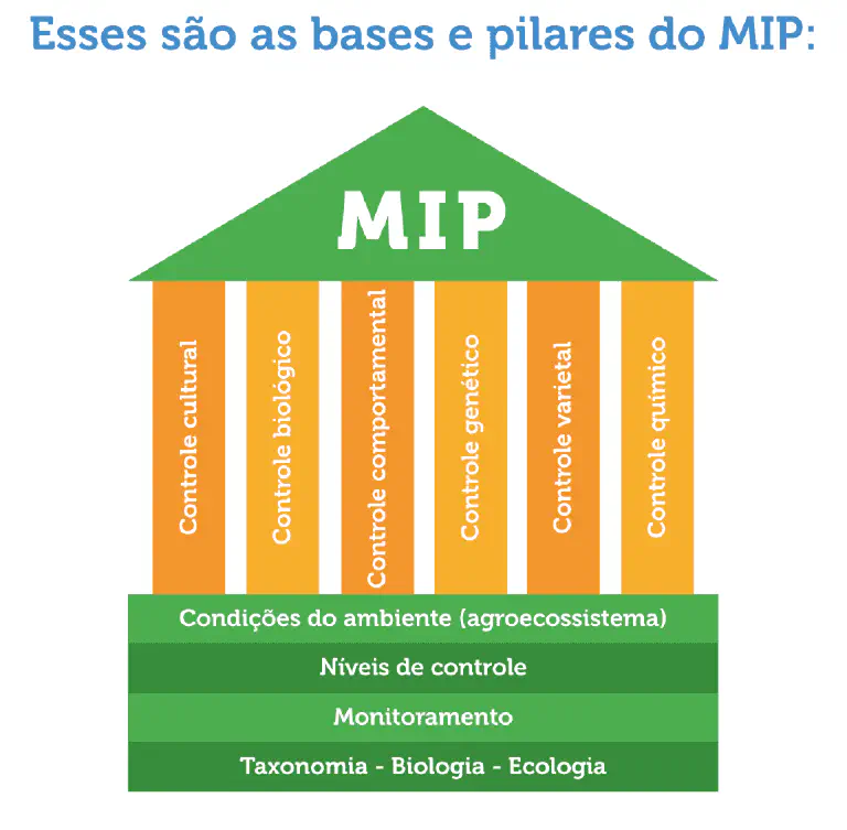 Este infográfico ilustra os conceitos fundamentais do Manejo Integrado de Pragas (MIP) utilizando a metáfora de um templo. O