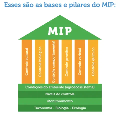 Este infográfico ilustra os conceitos fundamentais do Manejo Integrado de Pragas (MIP) utilizando a metáfora de um templo. O