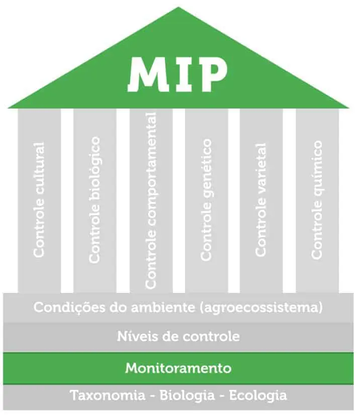 O que é MIP: Pilares do Manejo Integrado de Pragas infográfico que representa o conceito de Manejo Integrado de Pragas (MIP) através da analogia de um templo ou e