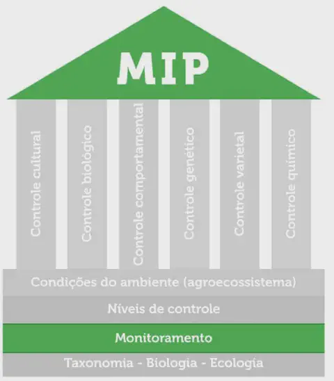 infográfico que representa o conceito de Manejo Integrado de Pragas (MIP) através da analogia de um templo ou e