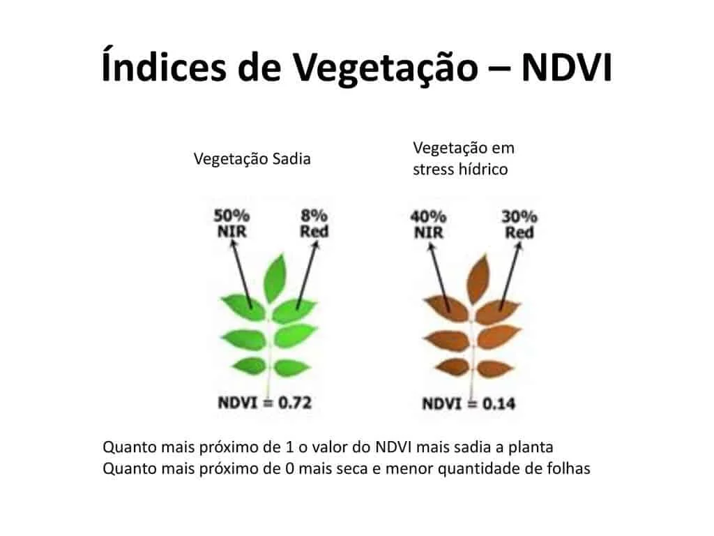 infográfico didático que explica o conceito de Índice de Vegetação por Diferença Normalizada (NDVI). Ela aprese