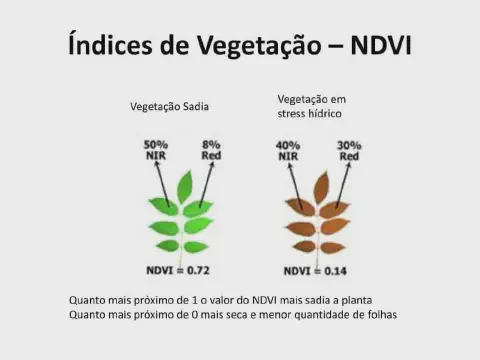 infográfico didático que explica o conceito de Índice de Vegetação por Diferença Normalizada (NDVI). Ela aprese