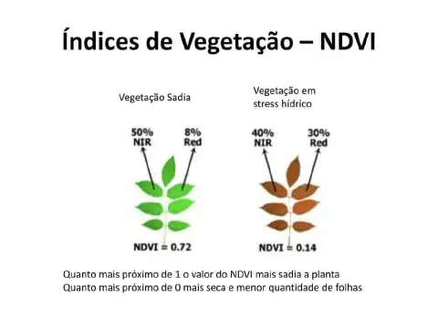 infográfico didático que explica o conceito de Índice de Vegetação por Diferença Normalizada (NDVI). Ela aprese
