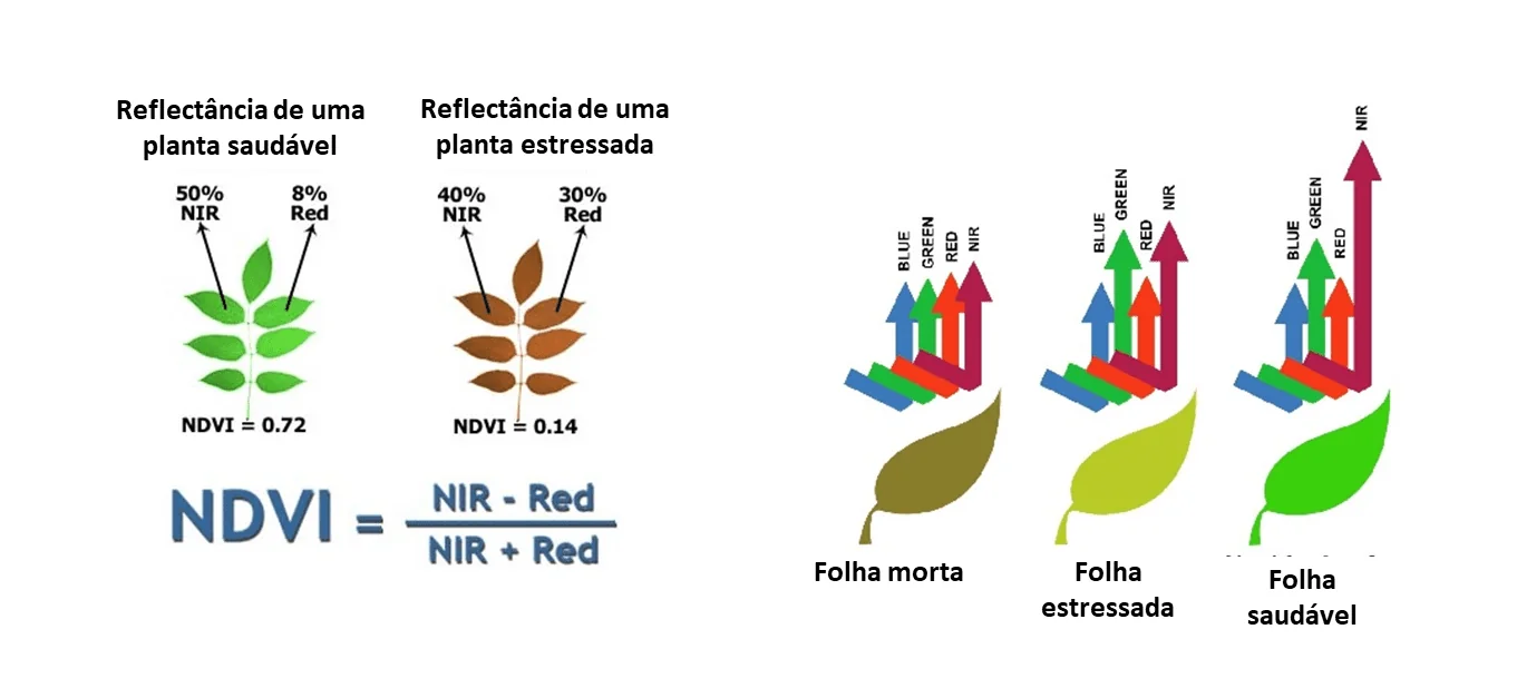 infográfico didático que explica o conceito de NDVI (Índice de Vegetação por Diferença Normalizada), uma métric