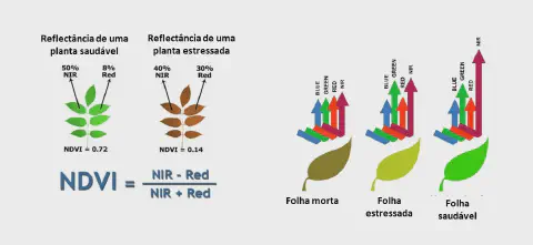 infográfico didático que explica o conceito de NDVI (Índice de Vegetação por Diferença Normalizada), uma métric