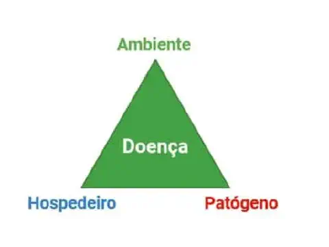 triângulo da doença