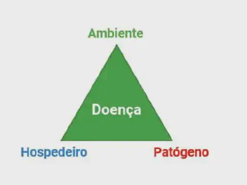 o 'Triângulo da Doença', um modelo conceitual fundamental em fitopatologia que ilustra as três condições essen
