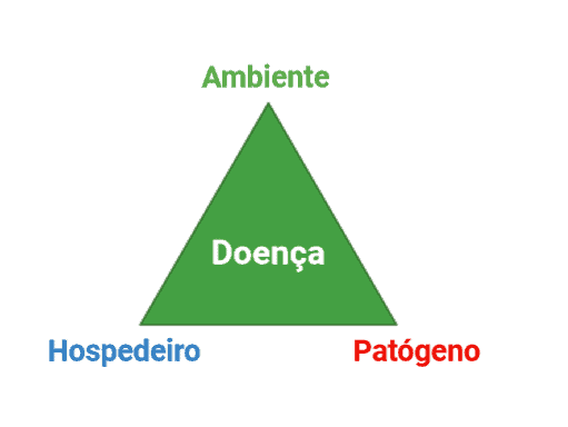 diagrama conhecido como ‘Triângulo da Doença’, um conceito fundamental em fitopatologia. No centro de um tr
