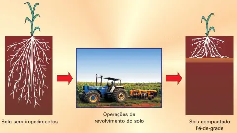 infográfico educacional que ilustra o processo de compactação do solo, especificamente a formação do 'pé-de-gra
