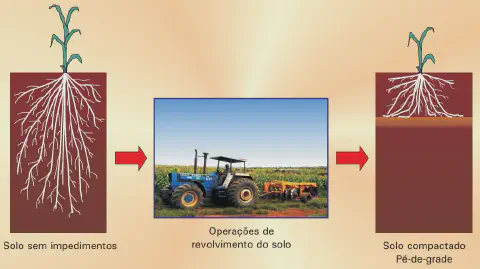 infográfico educacional que ilustra o processo de compactação do solo, especificamente a formação do 'pé-de-gra