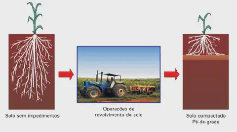 infográfico que ilustra o processo de compactação do solo, especificamente a formação do 'pé-de-grade'. Ela é d