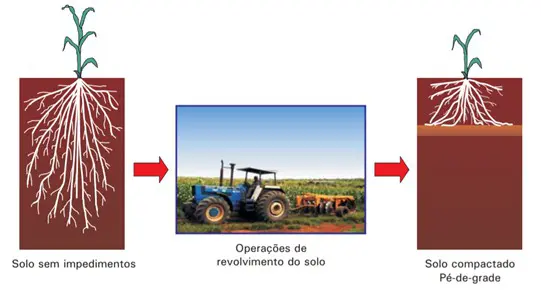 infográfico que ilustra o processo de compactação do solo, especificamente a formação do ‘pé-de-grade’. Ela é d