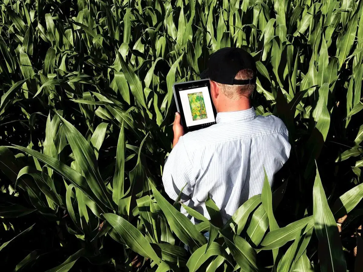 Exemplo de software de gestão agrícola em uso no campo