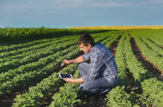 Miniatura do artigo de Gestão Agrícola: Software de Gestão Agrícola: O Guia Completo Para Sua Fazenda