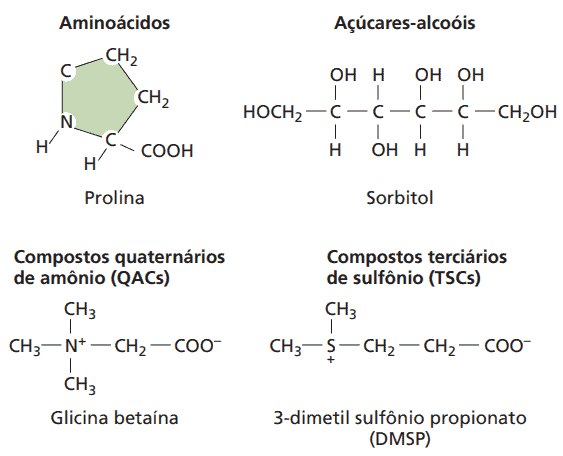 infográfico técnico que ilustra as estruturas químicas de quatro tipos de compostos orgânicos que atuam como os