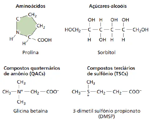 infográfico técnico que ilustra as estruturas químicas de quatro tipos de compostos orgânicos que atuam como os