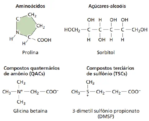 infográfico técnico que ilustra as estruturas químicas de quatro tipos de compostos orgânicos que atuam como os