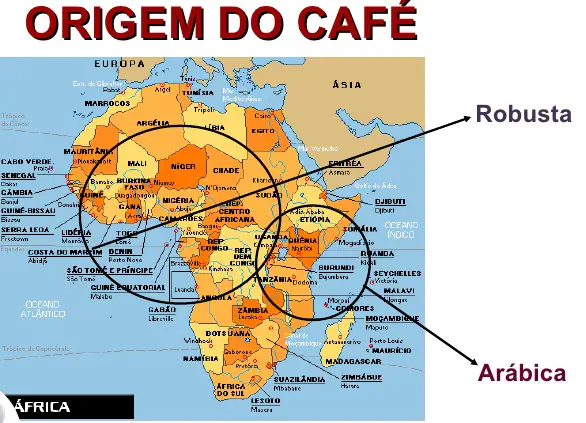 Origem do Café: Mapa das Variedades Arábica e Robusta mapa infográfico que ilustra a origem geográfica das duas principais espécies de café: Arábica e Robusta. O map