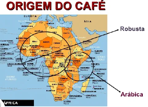 mapa infográfico que ilustra a origem geográfica das duas principais espécies de café: Arábica e Robusta. O map