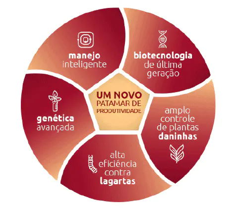 infográfico circular que ilustra os cinco pilares para alcançar 'Um Novo Patamar de Produtividade' na agricultu