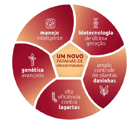 infográfico circular que ilustra os cinco pilares para alcançar 'Um Novo Patamar de Produtividade' na agricultu
